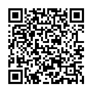 但是三个大修士都知道许紫烟是被逼着走上这条路二维码生成