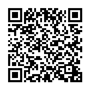 但是下一秒就静静的站在背后……这种感觉简直太神奇了二维码生成