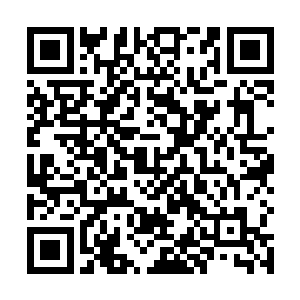 但是不代表着自己一辈子都只能是跟孟西一同的过家家二维码生成