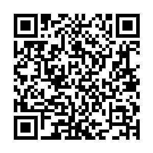 但是不到半分钟便被刑警队的一帮兄弟和老百姓打得头破血流二维码生成