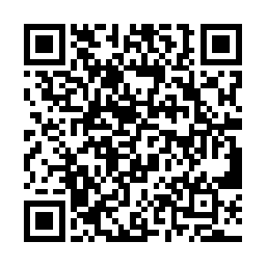但是不知道为什么看到那样决然的乌灵却心疼的要死二维码生成