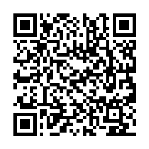 但是不知道是不是真的听懂了还是看明白她的手势二维码生成