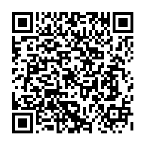 但是与此同时又从许紫烟的体内飘出了一片建木树叶悬浮在许紫烟三人的头上二维码生成