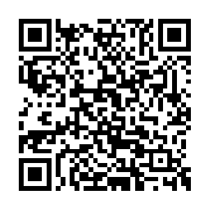 但是两个侍卫还是尽责的带着他重新返回了大厅二维码生成