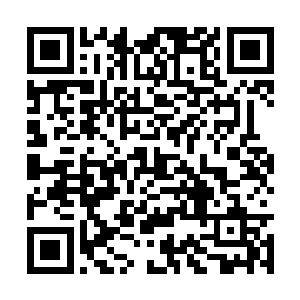 但是两个小家伙依旧是近距离的接触了一下大熊猫二维码生成