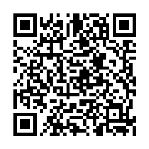 但是两位男主角布拉德和艾丹却受到了不少赞誉二维码生成