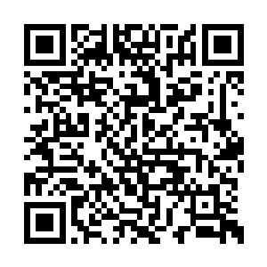 但是为什么燕山魂会比琅琊更快地收取那条左腿二维码生成