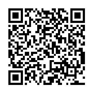 但是为什么这个乌啼能够在那一瞬间得到二转大帝的实力呢二维码生成