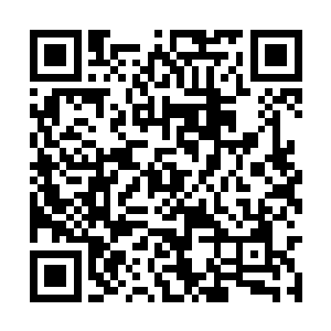 但是也不能保证在外面幻境中可以保护得了所有人二维码生成