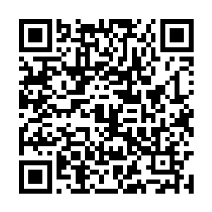 但是也只能把自己的火气朝着脚下的石头树丛发泄二维码生成