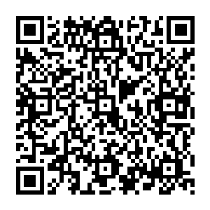 但是也有一部分忍者不是这个样子的他们竟然投靠了那些武士和政府帮助武士和政府干事二维码生成
