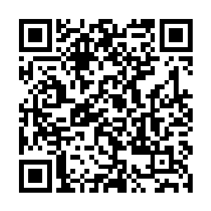 但是也知道这次是讨伐占据在西部山区的洛克野蛮人二维码生成