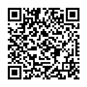 但是也还没有达到让大道以下的修炼者当炮灰的程度二维码生成