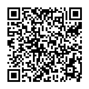 但是也需要考虑陆为民和孔令成之间观点如果出现较大差异该怎么办二维码生成