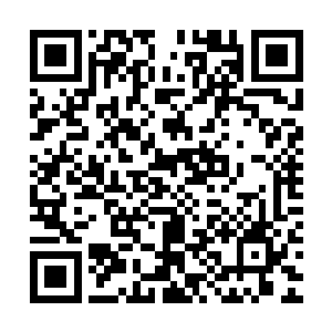 但是事实情况就是先是丁二狗不小心碰到了转身面朝他的谢赫洋二维码生成