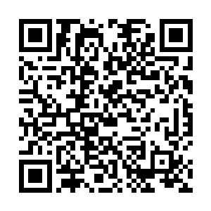 但是二儿子整天游手好闲斗鸡走狗的……招惹谁不好的二维码生成