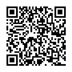 但是云飞凤身上释放出来的气息却令他们感觉到了她的可怕二维码生成