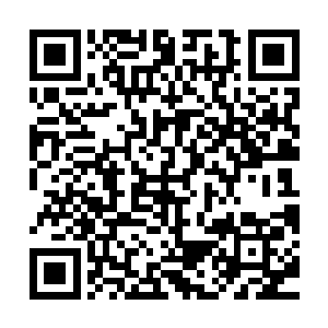 但是人家花个几千万把块钱就可以去找大学生甚至中学生那啥的二维码生成