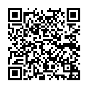 但是今天的情况和他之前看到过的比试完全不一样二维码生成