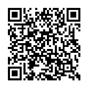 但是今天秦宇你能将老前辈给惊动也算是本事了二维码生成
