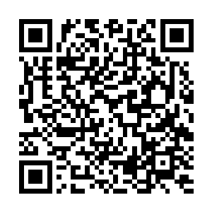 但是今年上半年位居第四的麓城已经超出了位居第五的沙洲6二维码生成