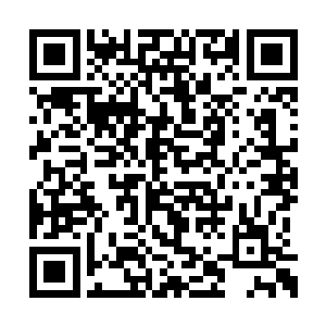 但是仍然有三分之一左右的冒险者决定追随马文二维码生成