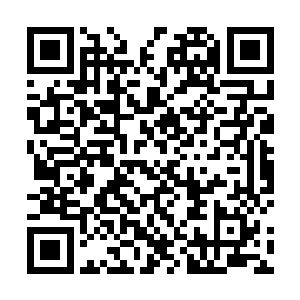 但是仍然能在最后关头使出自己的杀手锏――蛇怪变身二维码生成