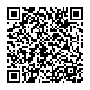 但是从下人对她和她院子里丫鬟婆子的态度的微渺变化上不难猜出二维码生成