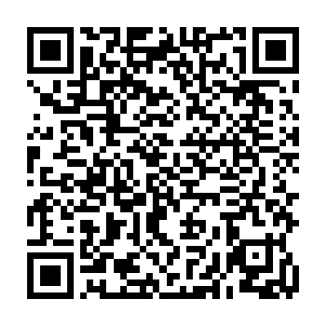 但是从他们那扭曲的不成人样的脸上也能够轻易的判断出此时几个人的处境二维码生成