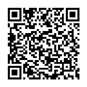 但是从她微微颤抖的肩膀可以预见她现在的惊恐二维码生成