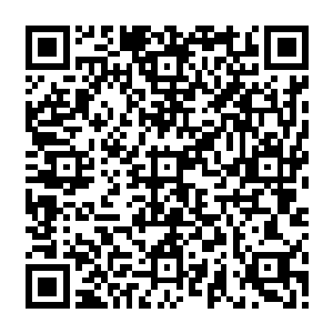 但是从她来到璃城的那一刻或许就已经注定了她必然会面对墨修尧和叶璃的这一刻二维码生成