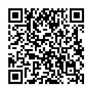 但是从学校里传出来的消息让他们取消了这样的想法二维码生成