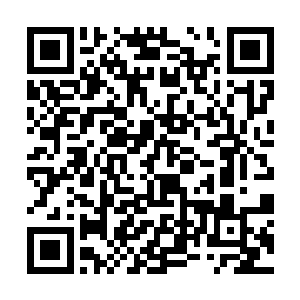 但是从来没有喝过这样恨不得从脑袋顶苦到脚心的药二维码生成