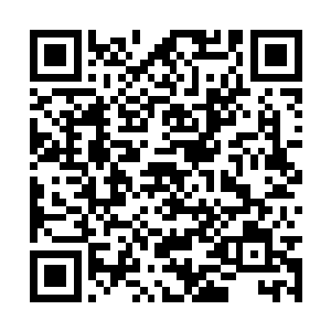 但是从海底世界内出来的许天念等人却是大吃一惊二维码生成