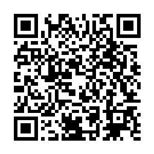 但是从焚天禄还有焚心莲的表现龙傲天也能够猜出一二二维码生成