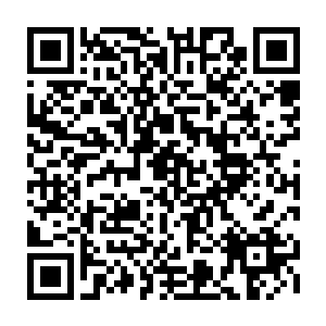 但是从茶楼外边停的几辆本田CRV和奥迪Q5这一类的越野车就能看出一些端倪来二维码生成