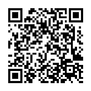 但是从道馆里匆匆走出的几个人却没几个人觉得开心二维码生成