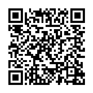 但是从那干瘪的眼珠中绽放出来鬼气森然的光芒二维码生成
