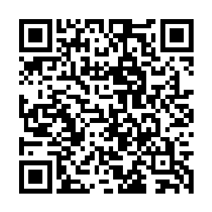 但是仔细感觉又仿佛这是生命万物起源的根本所在二维码生成