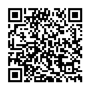 但是他也绝对不可能同时躲开这么多的自然之力二维码生成