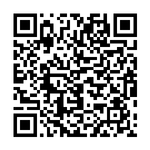 但是他从纽约那边回来的这件事情还真的就不是我安排的二维码生成