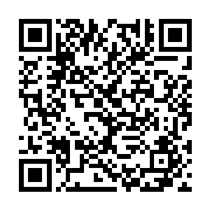 但是他们两个人原本的时候就在考察的名单当中了二维码生成