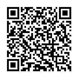 但是他们五个修士的气势从一开始就落在了下风二维码生成