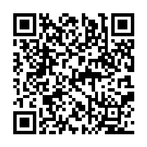 但是他们似乎都忽略了商务局一个非常重要的作用二维码生成