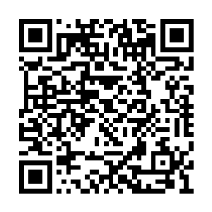 但是他们体内的气息并不是星空修士体内的灵气二维码生成