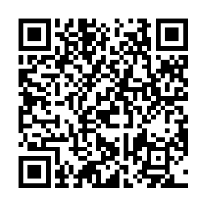 但是他们刚开始的做法很明显就可以让夏天看出是考验二维码生成