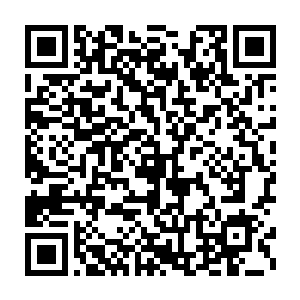 但是他们却是看见了叶然僵硬的身体站在原地看着远处的迷雾当中二维码生成