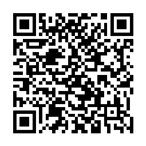 但是他们又怎么会知道这个凰女已经是自己的太子妃了呢二维码生成