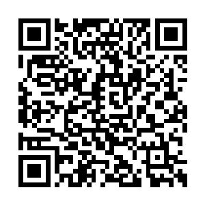 但是他们在商量如何侵入的时候发生了一点分歧二维码生成