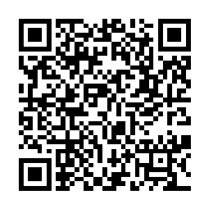 但是他们好像正在一点点的适应自己突然获得的力量二维码生成